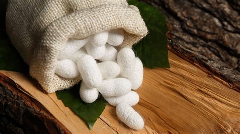 mulberry silk